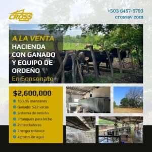 Hacienda de 153.96 manzanas con ganado en producción y equipo de ordeño, en perfectas condiciones ubicado en Sonsonate