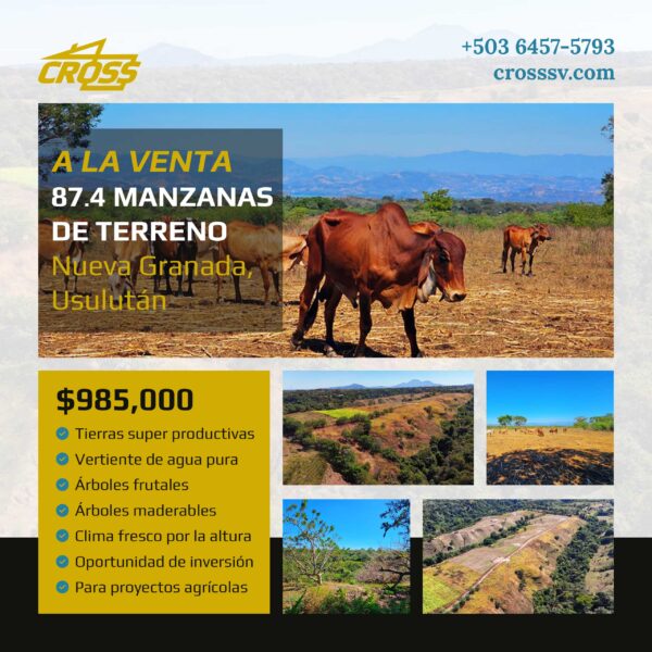 Gran Oportunidad de Inversión - 87.4 Manzanas de terreno en Nueva Granada, Usulután