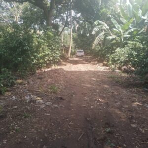 Finca en Cantón Empanizada, Santa Ana - $20,000 por manzana