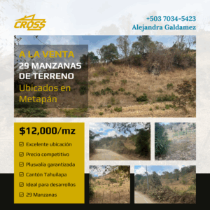 29 manzanas ubicadas en Metapán, Ideal para desarrollos residenciales, comerciales o agrícolas
