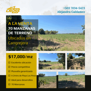 Se venden 70 manzanas de terreno completamente planas