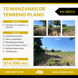 VENDIDAS - Se venden 70 manzanas de terreno completamente planas