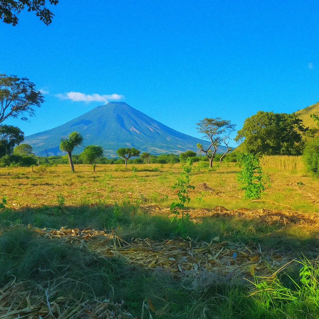 Interior de Hogar Elegante