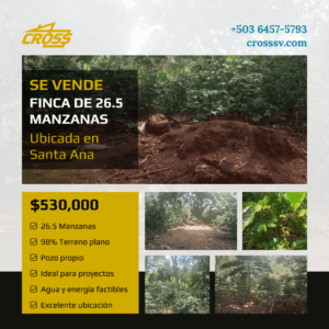 VENDIDO - Finca en Cantón Empanizada, Santa Ana – $20,000 por manzana